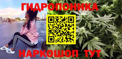 прущие крисы Новодвинск