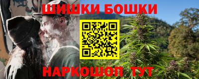 дмт Новокубанск