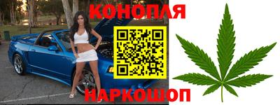 прущие крисы Новодвинск